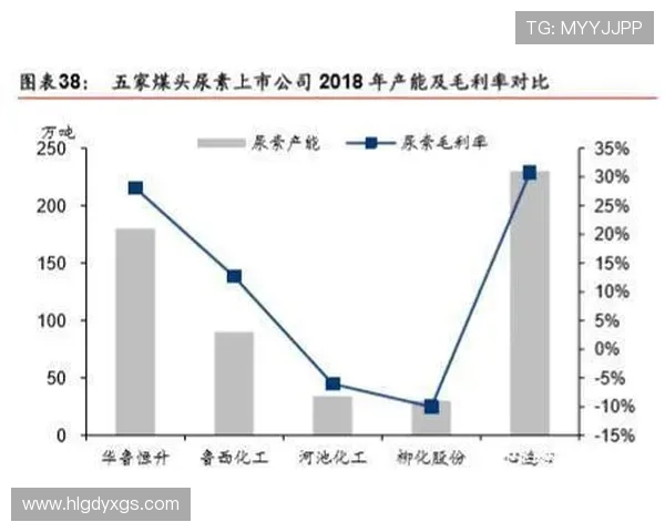 杭州足球队实力解析：聚焦球队发展与未来展望