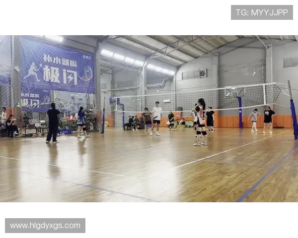 深圳排球队实力飙升再创佳绩引领排球新风潮