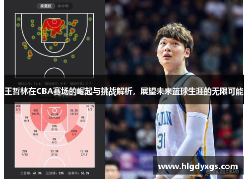 王哲林在CBA赛场的崛起与挑战解析，展望未来篮球生涯的无限可能