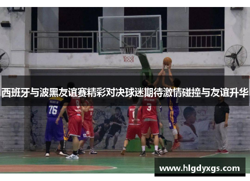 西班牙与波黑友谊赛精彩对决球迷期待激情碰撞与友谊升华